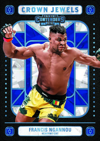 パニーニ PFL PFL Trading Cards - Collect Your Favorite MMA Fighters