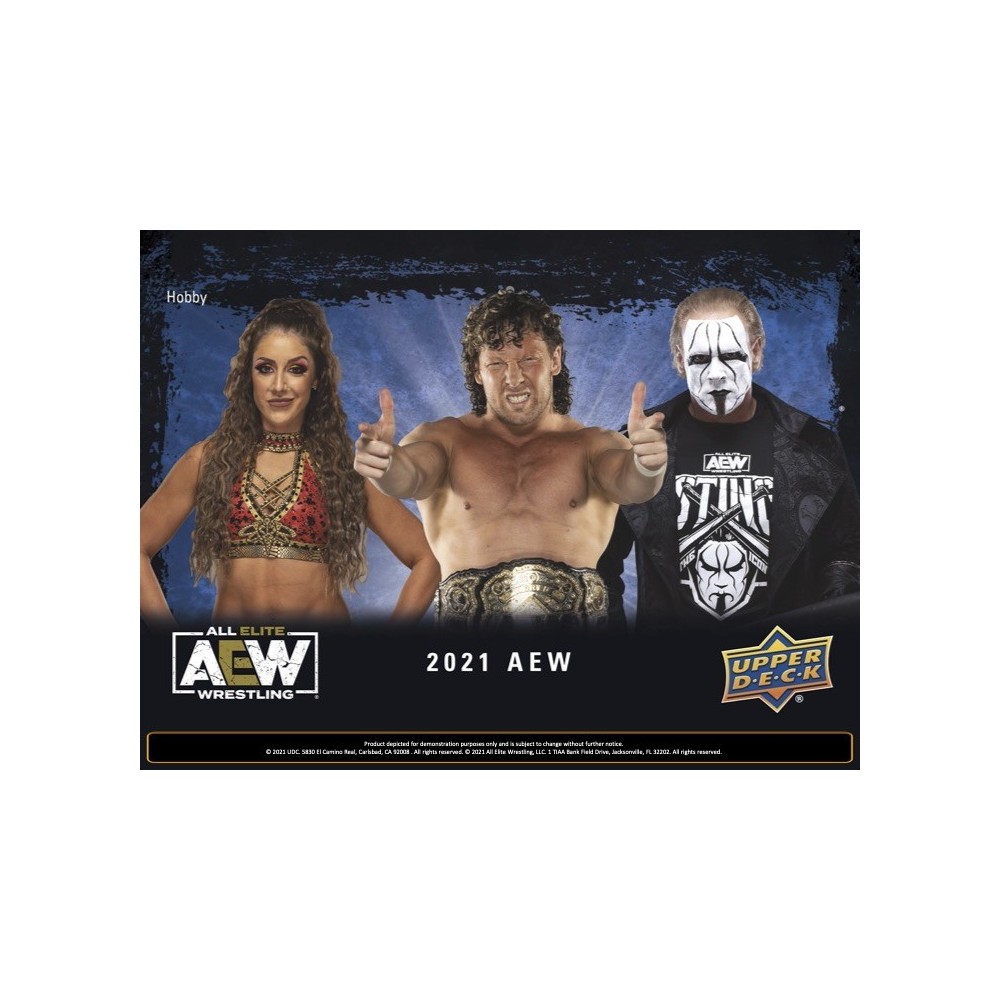 2021 Upper Deck AEW Wrestling Hobby Box Steel City