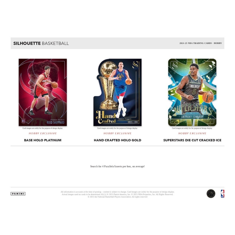 2024-25 Panini Silhouette Basketball Hobby Box | Steel City