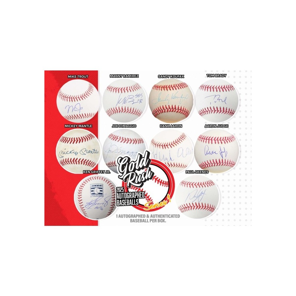 2017 Houston Astros World Series Autographed Baseball