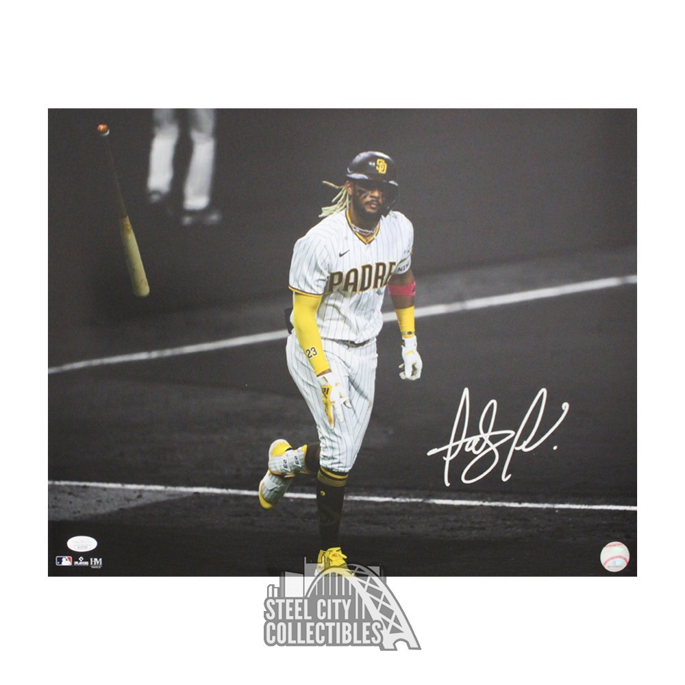 Fernando Tatis Signed San Diego Grey Pinstripe Baseball Jersey