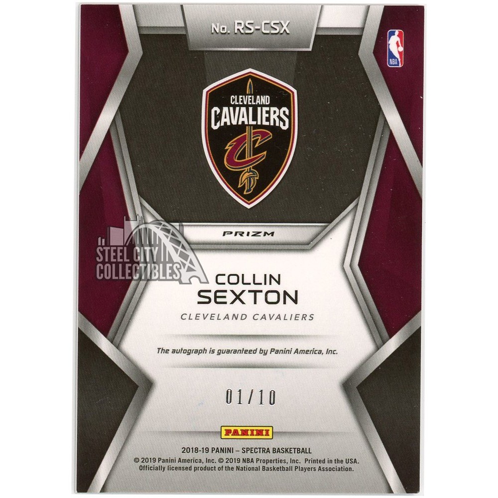 2018-19 Panini Spectra Rising Stars Wendell Carter Jr. 47/60 Luka Doncic 2018-19 Panini Spectra Rising Stars Autograph #17 ⁄75