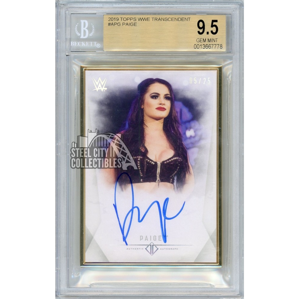 WWE PANINI PAIGE 25シリ　サイン　Tie-Dye　カード 2023 Panini Select WWE #SG-MHY Michael Hayes Signatures Tie-Dye