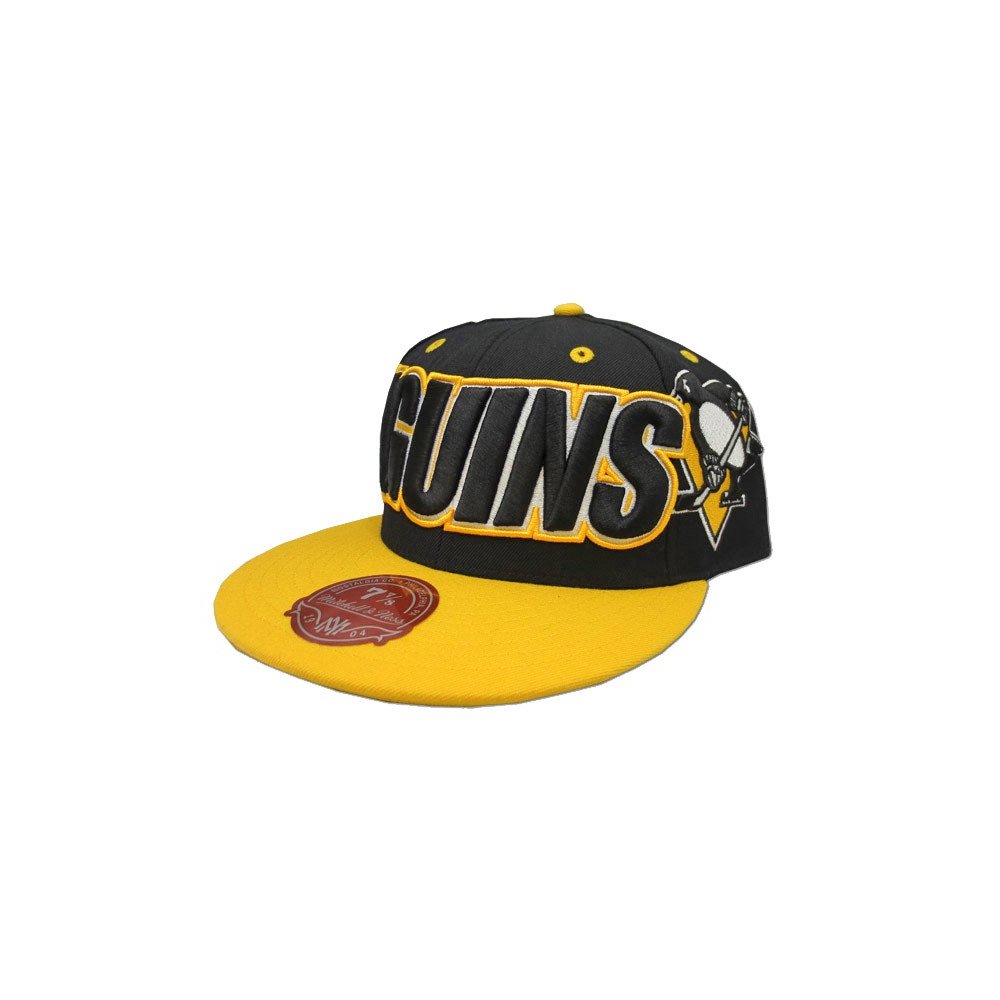 pittsburgh penguins fitted hat