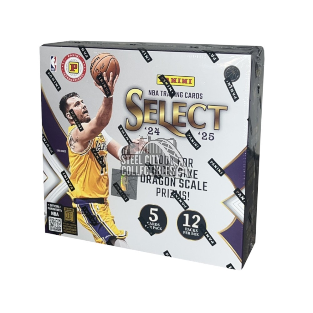 2024-25 Panini Select Basketball Hobby International Box | Steel