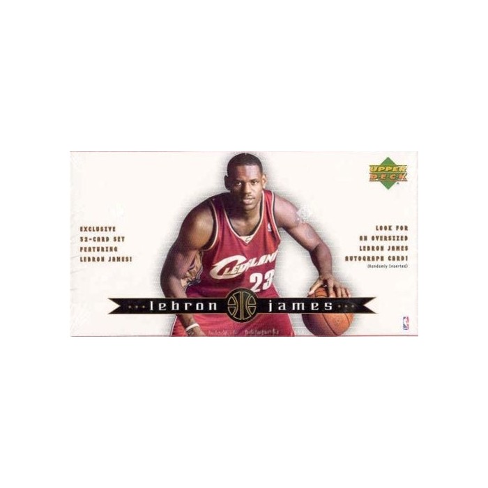 lebron james basketball set