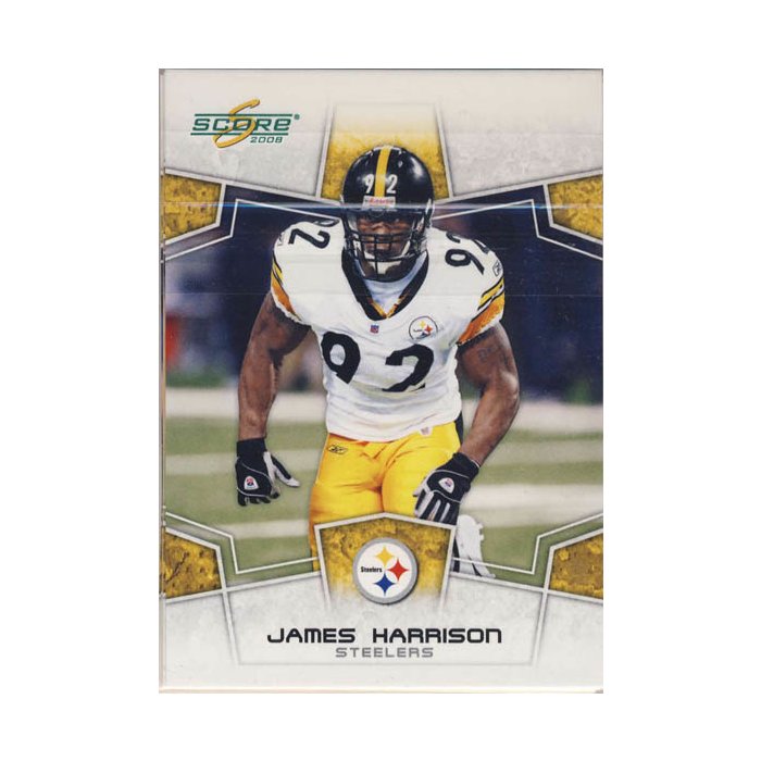 2008 PITTSBURGH STEELERS ROSTERS STATS SCHEDULE TEAM DRAFTEES visual data 5