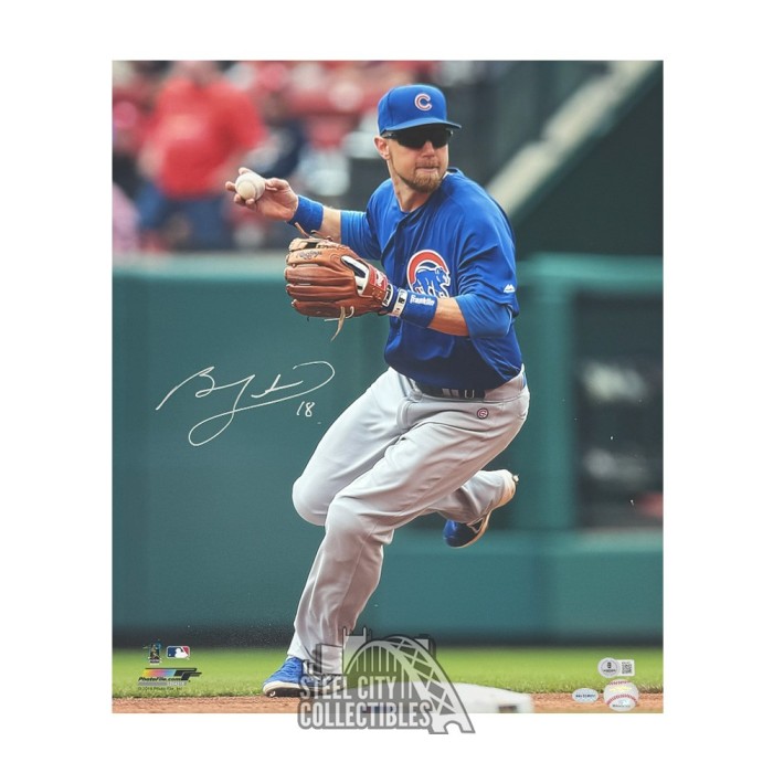Ben Zobrist Autographed Chicago 16x20 Baseball Photo BAS (Blue Jersey