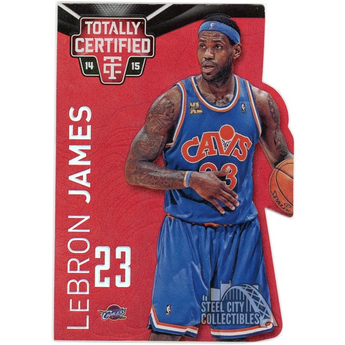 LeBron493638.jpg