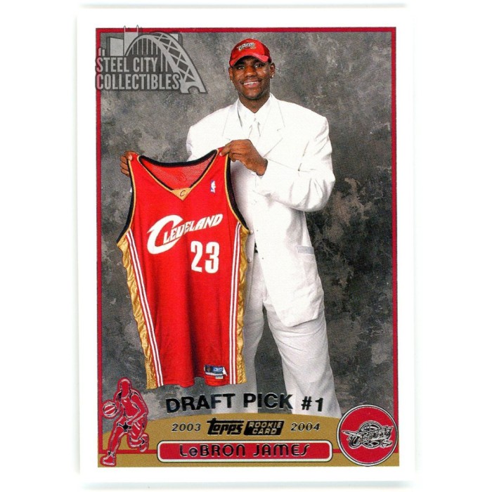 lebron 2003 draft
