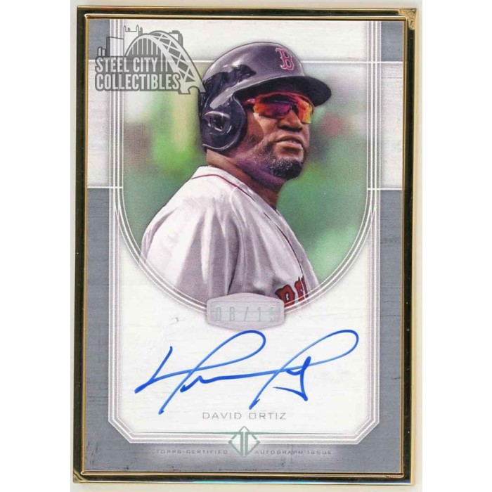 David Ortiz 2017 Topps Transcendent Framed Auto Card #TCA-DO 08/15