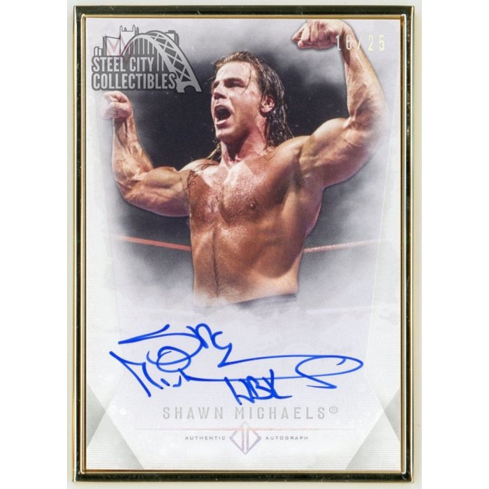 Shawn Michaels 2019 Topps WWE Transcendent Collection Autograph 16