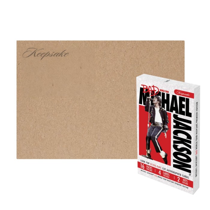 Michael Jackson　 BAD TOUR　BAG（新品未使用） Michael Jackson Official Bad Japan Tour Suit 2009 Design Bag New