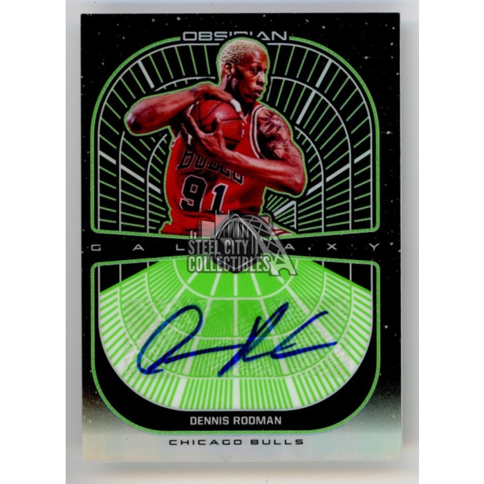 その他 precious  l  gems dennis rodman /50 その他 precious l gems dennis rodman /50 s-l400.jpg