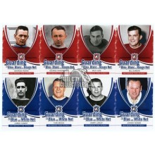 2010-11 In The Game Between The Pipes Hockey Guarding the Net 20-Card Insert Set 10-Count Lot