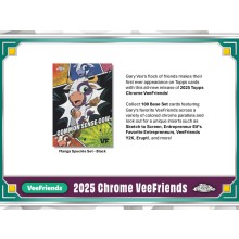 その他 Veefriends PSA Limted/55 Veefriends PSA Limted/55 （2025 VEEFRIENDS PSA Exclusive
