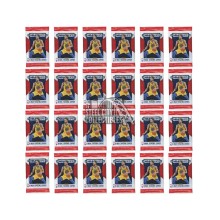 2018-19 Panini Hoops Basketball Retail 24-Pack Lot