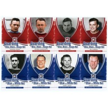 2010-11 In The Game Between The Pipes Hockey Guarding the Net 20-Card Insert Set