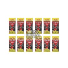 2017 Panini Football Fat Pack 12-Pack Lot