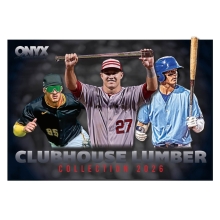 2026 Onyx Lumber Collection Baseball Bat Box