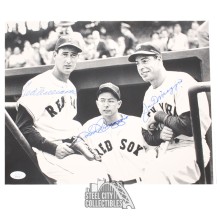 Ted Williams / Joe & Dom DiMaggio  Autographed 11x14- JSA LOA