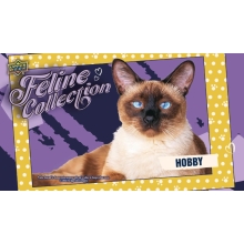 2026 Upper Deck Feline Collection Hobby Box