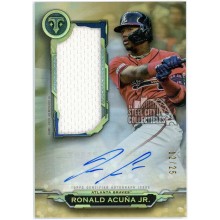 Ronald Acuna Jr 2019 Topps Triple Threads Game-Used Jersey Autograph 12/25