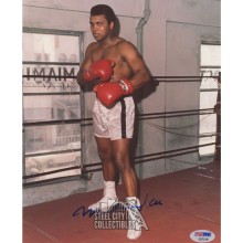 Muhammad Ali Autographed 8x10 Photo Boxing Pose In Ring- PSA/DNA E37319