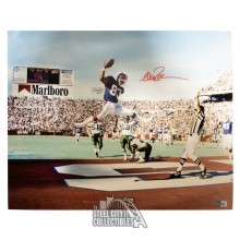 Andre Reed Autographed Buffalo 16x20 Photo - BAS (Celebration)