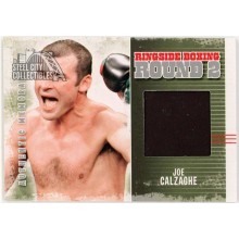 Joe Calzaghe 2011 ITG Ringside Boxing Silver Trunks Card #AM-32 (Black)