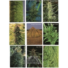1994 InLine Hemp 50 Card Complete Set