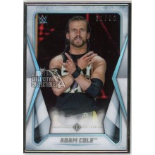 Adam Cole 2020 Topps Transcendent WWE Card #1 1/50