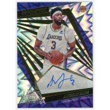 Anthony Davis 2021-22 Panini Revolution Fractal Autograph Card #AG-ADV 017/100