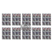 2006-07 In the Game AHL Shooting Stars All Star Classic 12 Card Insert 10-Set Lot