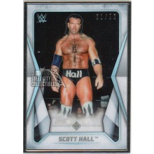 Scott Hall 2020 Topps Transcendent WWE Card #41 1/50