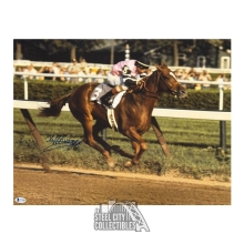 Laffit Pincay Jr Autographed 16x20 Horse Racing Photo - BAS (Smeared Auto)