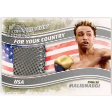 Paulie Malignaggi 2011 ITG Ringside Boxing Country Silver Trunks Card #FYC-09