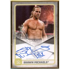 Shawn Michaels 2020 Topps Transcendent WWE Autograph Card #A-HBK 16/25