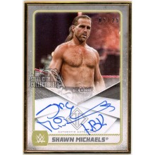 Shawn Michaels 2020 Topps Transcendent WWE Autograph Card #A-HBK 5/25