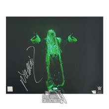 Naomi Autographed WWE 16x20 Wrestling Photo - Fanatics (Green Glow)