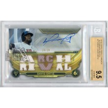 David Ortiz 2019 Topps Triple Threads Jersey Autograph Card #TTAR-DO1 10/18 BGS 9.5