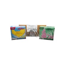 Pokemon Scarlet & Violet Paradox Rift Elite Trainer 10-Box Case