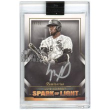 Luis Robert 2021 Topps Luminaries Spark of Light Autograph Card #SLA-LR 19/20