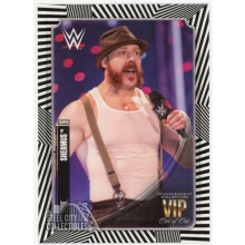 Sheamus 2020 Topps Transcendent WWE VIP Party Black & White Stripes Card #45 1/1
