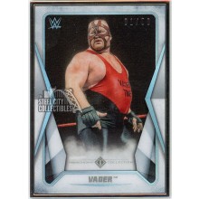 Vader 2020 Topps Transcendent WWE Card #49 1/50