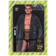Walter 2020 Topps Transcendent WWE VIP Party Green Yellow Card #48 1/1