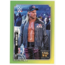 Dolph Ziggler 2020 Topps Transcendent WWE VIP Green & Yelllow Stripes Card 1/1