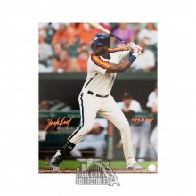 Yordan Alvarez 2019 AL ROY Autographed Houston Astros 16x20 Photo - MLB