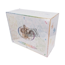 Pokemon Chinese Terastal Gathering Eevee and Friends Gift Box