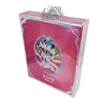 Pokemon Chinese Terastal Gathering Eeveelutions Sylveon Binder Collection Box